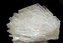 Albite