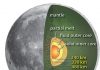 Internal Structure of the Moon