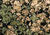 Copper Chains: Earth’s Deep-Seated Hold On Copper Revealed