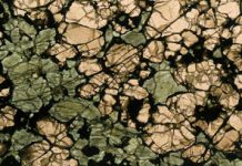 Copper Chains: Earth’s Deep-Seated Hold On Copper Revealed