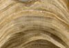 Stalagmite Research Suggests Earth Has Two Modes of Responding to Change