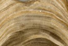 Stalagmite Research Suggests Earth Has Two Modes of Responding to Change