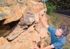 New Model of Geological Strata May Aid Oil Extraction, Water Recovery and Earth History Studies