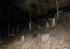 Researchers use stalagmites to study past climate change