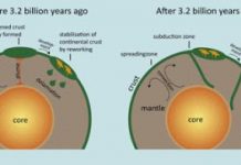 Plate Tectonics Cannot Explain Dynamics of Earth and Crust Formation More Than Three Billion Years Ago