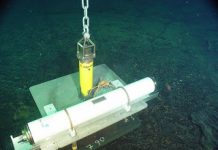 Undersea Volcano Gave Off Signals Before Eruption in 2011