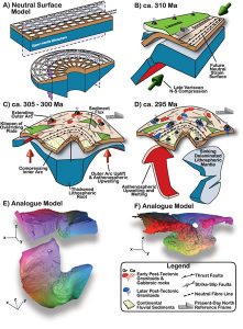 (A) Block diagram depicting the effect of lithospheric bending around a vertical axis and the resultant strain field (modified tangential longitudinal strain). Strain ellipses depict arc-parallel shortening in the inner arc and arc-parallel stretching in the outer arc. Note the different behavior of the mantle lithosphere in the inner and outer arcs and the increase in thickness of mantle lithosphere below the inner arc and thinning below the outer arc. (B) Snapshot illustration of arc development starting with a linear belt resulting from a Gondwana–Laurentia collision. (C) Second snapshot illustrating oroclinal bending, which causes lithospheric stretching in the outer arc and thickening beneath the inner arc (Gutiérrez-Alonso et al., 2004). (D) The final stage of oroclinal bending, depicting delamination and collapse of thickened lithospheric root beneath the inner arc, replacement of sinking lithosphere by upwelling asthenospheric mantle, and associated magmatism in the inner and outer arc regions. (E) Two tomographic views of the analogue modeled mantle lithosphere geometry after buckling around a vertical axis where the lithospheric root is developed under the inner arc (top—frontal view from the concave part of the model; bottom—view from below); 3-D coordinate axes given. (F) Tomographic 3-D image of the delaminated lithospheric root obtained with analogue modeling; 3-D coordinate axes given.