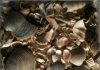 New Test Adds to Scientists’ Understanding of Earth’s History, Resources