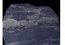 Mining Ancient Ores for Clues to Early Life