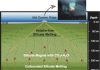 Magma in Mantle Has Deep Impact