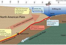 Stress Change During the 2011 Tohoku-Oki Earthquake Illuminated