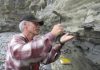 Megavolcanoes Tied to Pre-Dinosaur Mass Extinction