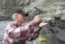 Megavolcanoes Tied to Pre-Dinosaur Mass Extinction