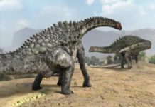 Four Dinosaur Egg Species Identified in Lleida, Spain