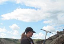 Dinosaur-Era Climate Change Study Suggests Reasons for Turtle Disappearance