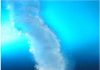 Ice Tubes in Polar Seas “Brinicles” or “Sea Stalactites” Provide Clues to Origin of Life