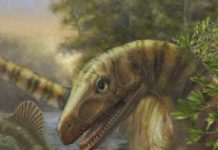 Dinosaur Predecessors Gain Ground in Wake of World’s Biggest Biodiversity Crisis