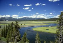Research Aims to Settle Debate Over Origin of Yellowstone Volcano