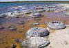 Did life begin on land rather than in the sea?