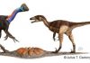 Dinosaur Whodunit: Solving A 77-Million-Year-Old Mystery