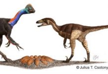 Dinosaur Whodunit: Solving A 77-Million-Year-Old Mystery