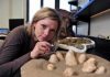 Dinosaur Egg Study Supports Evolutionary Link Between Birds and Dinosaurs