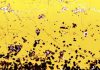 Lava Erupting On Sea Floor Linked to Deep-Carbon Cycle