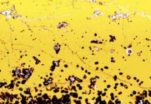Lava Erupting On Sea Floor Linked to Deep-Carbon Cycle