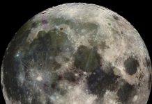 Moon and Earth Have Common Water Source