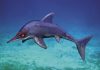 Fossil Saved from Mule Track Revolutionizes Understanding of Ancient Dolphin-Like Marine Reptile