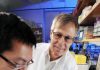 Origins of Life: In Early Earth, Iron Helped RNA Catalyze Electron Transfer