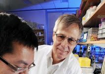 Origins of Life: In Early Earth, Iron Helped RNA Catalyze Electron Transfer