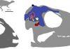 New Study Reveals Patterns of Dinosaur Brain Development