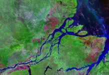 Amazon River Exhales Virtually All Carbon Taken Up by Rainforest