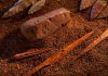 Origins of Human Culture Linked to Rapid Climate Change