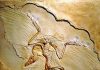 Paleontologists Discover Oldest Feathered Dinosaur “Archaeopteryx”