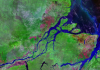 Amazon River