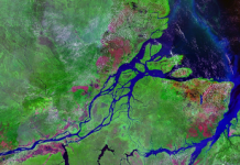 Amazon River