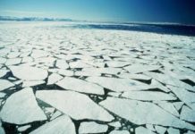 Arctic Current Flowed Under Deep Freeze of Last Ice Age, Study Says