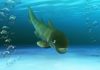 A new species of marine fish from 408 million years ago discovered in Teruel