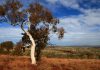 Ancient Trapped Water Explains Earth’s First Ice Age