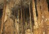 Stalagmites Provide New View of Abrupt Climate Events Over 100,000 Years