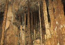 Stalagmites Provide New View of Abrupt Climate Events Over 100,000 Years