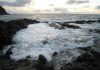 ‘Cold Snap’ 116 Million Years Ago Triggered Marine Ecosystem Crisis