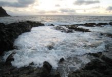 ‘Cold Snap’ 116 Million Years Ago Triggered Marine Ecosystem Crisis