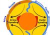 Location of Upwelling in Earth’s Mantle Discovered to Be Stable