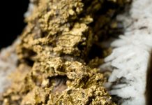 Earthquakes make gold veins in an instant