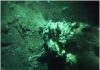 Shimmering Water Reveals Cold Volcanic Vent in Antarctic Waters