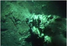 Shimmering Water Reveals Cold Volcanic Vent in Antarctic Waters