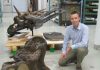 Dinosaurs, Diets and Ecological Niches: Study Shows Recipe for Success